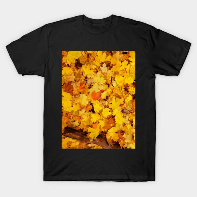 Fall leaves T-Shirt by Tara Liz Art